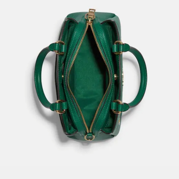 Coach mini Lillie carryall with Diary Embroidery Bag - Picture 6 of 14